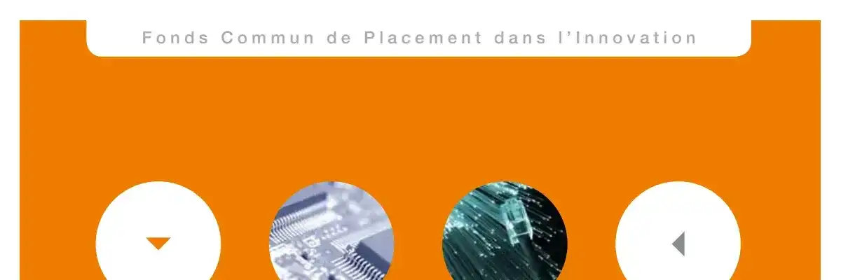 FCPI Pluriel Valeurs