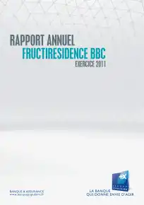 Rapport annuel - 2011