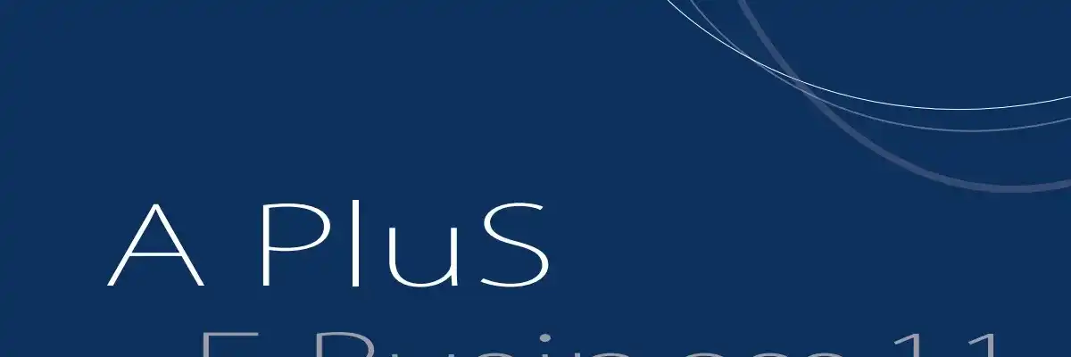 FCPI A Plus E-Business 11
