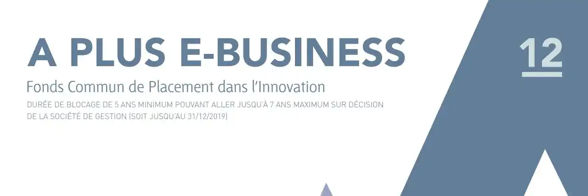 FCPI A Plus E-Business 12
