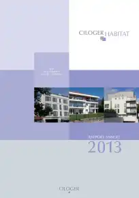 Rapport annuel - 2013