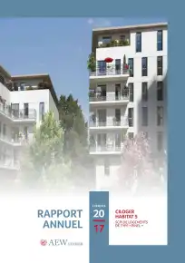 Rapport annuel - 2017
