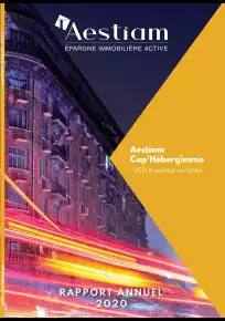 Rapport annuel - 2020
