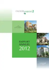 Rapport annuel - 2012