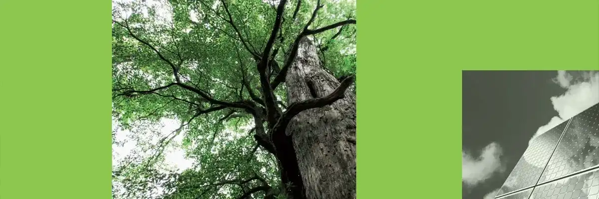 FCPI Ecotech & Développement Durable