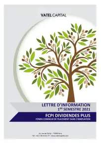 Lettre d'information FCPI - 1er semestre 2021