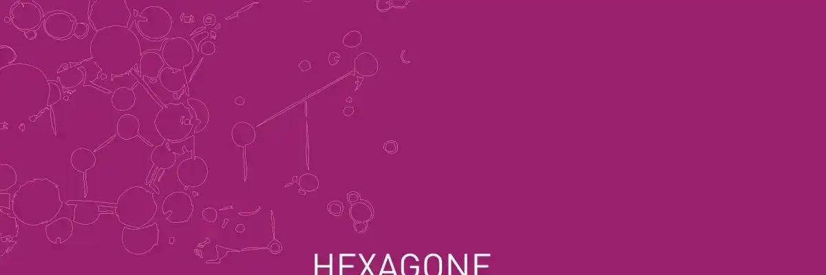 FIP Hexagone Convertibles