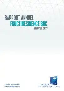 Rapport annuel - 2013