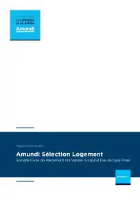 Rapport annuel - 2017