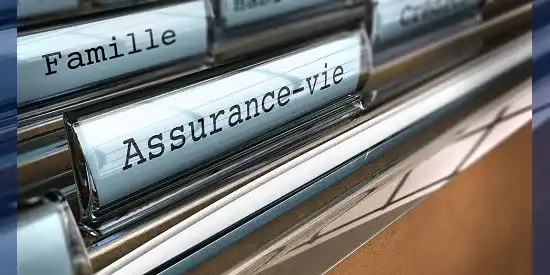 Iroko lance son unité de compte immobilière