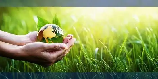 Plan d'épargne avenir climat : quel est ce nouveau placement ?