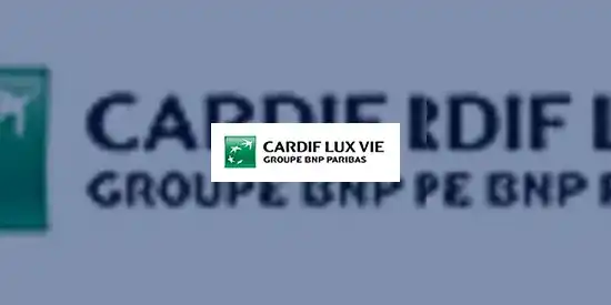 Epargne retraite : les contrats Madelin ont le vent en poupe