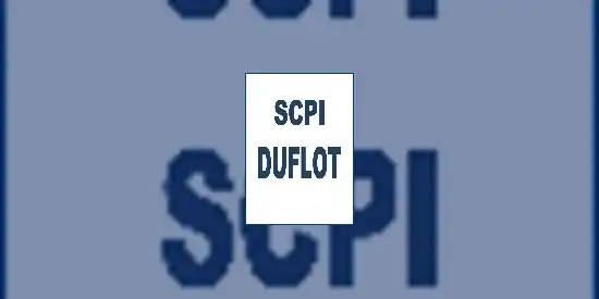 Baisse de collecte des SCPI