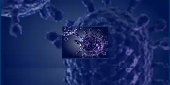 Truffle Capital annonce le succès de l'introduction en bourse d'Abivax
