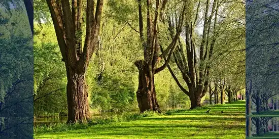 Les parcelles situées dans le parc résidentiel de loisirs sont assimilées à des terrains à bâtir au sens de la TVA