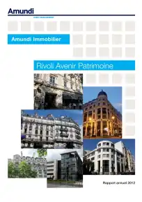 Rapport annuel - 2012
