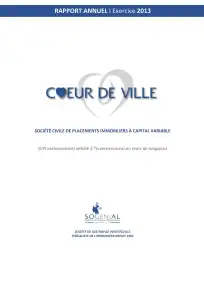 Rapport annuel - 2013