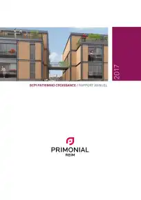 Rapport annuel - 2017