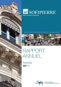 Rapport annuel - 2017