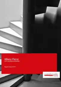 Rapport annuel - 2011