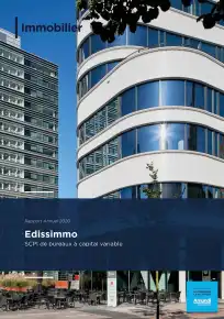 Rapport annuel - 2020
