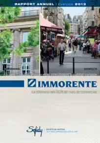 Rapport annuel - 2013