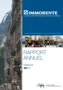 Rapport annuel - 2017