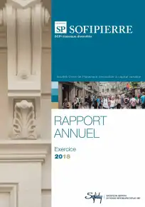 Rapport annuel - 2018