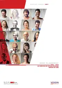 Rapport annuel - 2017