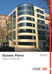 Rapport annuel - 2017