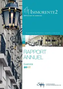 Rapport annuel - 2017