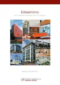 Rapport annuel - 2012