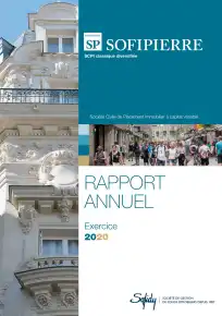 Rapport annuel - 2020