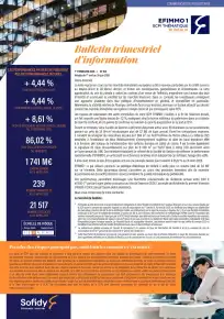 Bulletin trimestriel - 1er trimestre 2026