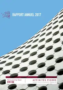 Rapport annuel - 2017