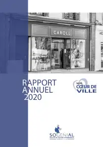 Rapport annuel - 2020