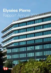 Rapport annuel - 2020