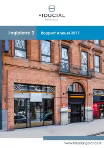 Rapport annuel - 2017