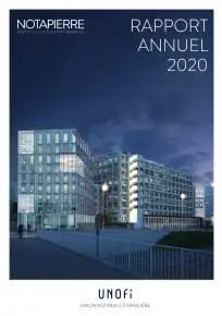 Rapport annuel - 2020