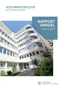 Rapport annuel - 2017