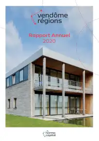 Rapport annuel - 2020