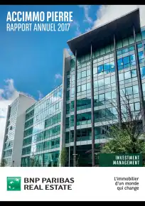 Rapport annuel - 2017