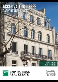 Rapport annuel - 2017