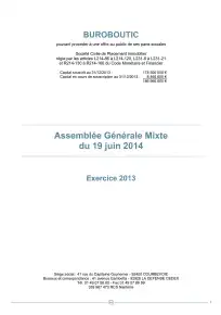 Rapport annuel - 2013