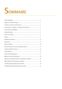 Rapport annuel - 2013