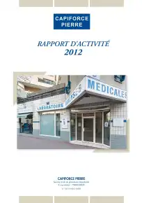 Rapport annuel - 2012