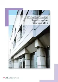 Rapport annuel - 2015