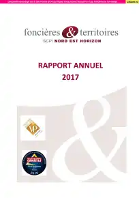 Rapport annuel - 2017