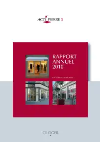 Rapport annuel - 2010