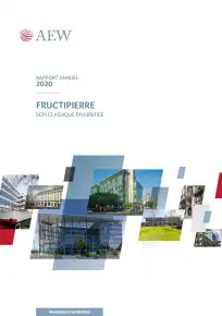 Rapport annuel - 2020